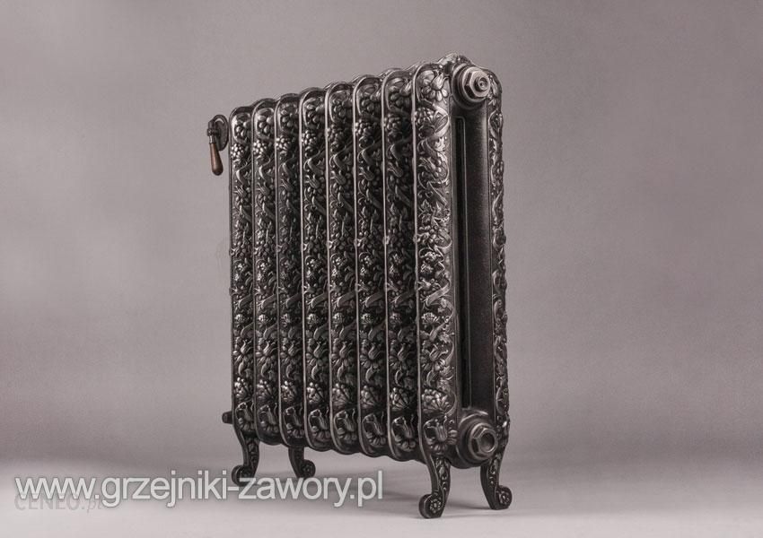 i-terma-kaszub-wolnostojacy-720x934-11-zeberek